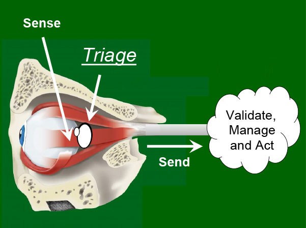 triage